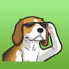 Cool Beagle Dog Stickers