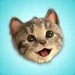 Little Kitten Stickers App Cancel