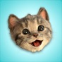 Little Kitten Stickers app download