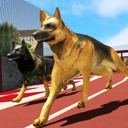 Crazy dog racing – Play greyhound race simulator Icon