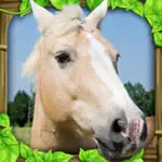 Wild Horse Simulator App Cancel