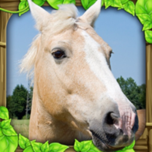 Wild Horse Simulator icon
