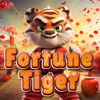 Tiger of Sorte icon