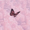 Girly Wallpapers - aesthetic ! icon