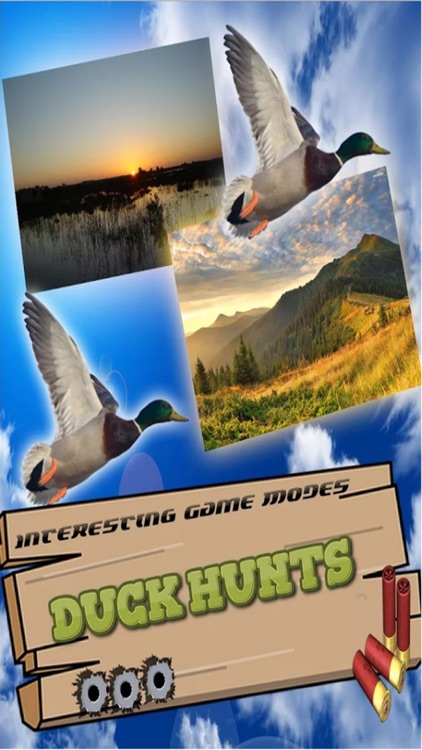 Duck Hunting Pro Challenge-Bird Shooting Game 3D screenshot-3