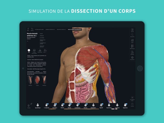 Screenshot #4 pour Complete Anatomy 2024