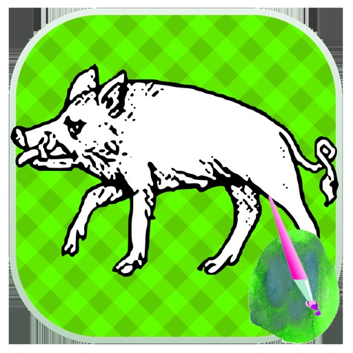 Tap Boar Color Book For Toddle Icon