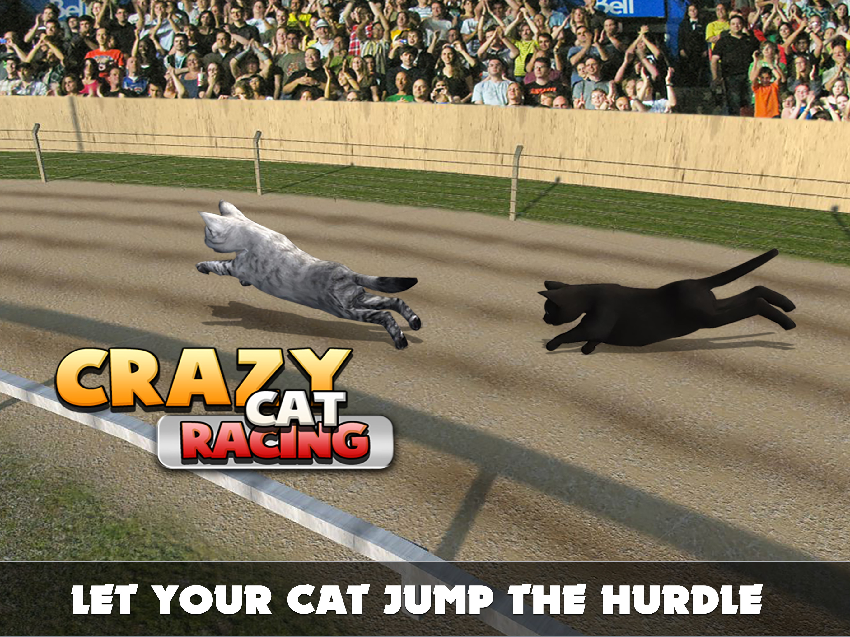 Cat Racing Free Game