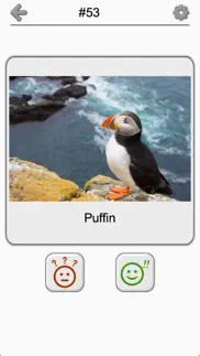bird world - quiz about famous birds of the earth iphone screenshot 4