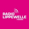 Radio Lippewelle Hamm icon