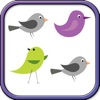 Icon Fun Learning Birds Shapes Stencil for Toddlers