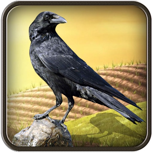 High Fly Crow Hunting: Desert Bird Sniper Mission icon