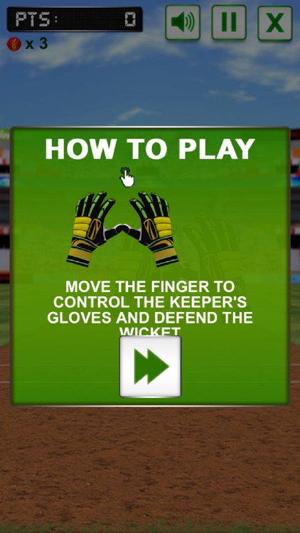 Cricket Fielder Challenge Pro
