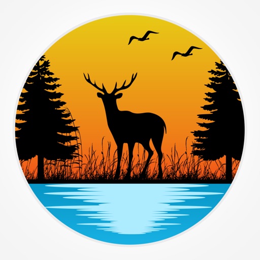 Forest Photo Frames icon