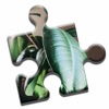 House Plants Puzzle icon