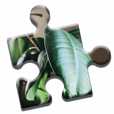 House Plants Puzzle Cheats
