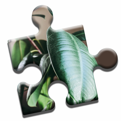 House Plants Puzzle