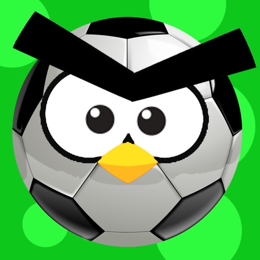 Soccer Bird Don't Fall Off The Line Icon