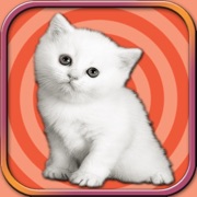 ‎可爱的小猫运行 - 宠物模拟游戏2017年