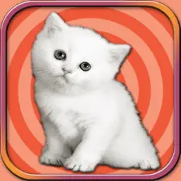 Adorable Kitten Run – Pet Simulation game 2017 app icon