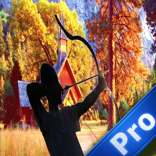 A Champion of Archery Pro - A Challenge Shooter icon