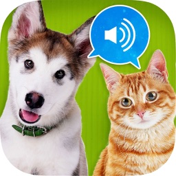 Animal sounds HD !