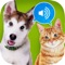 An application designed for children to help them discover animal sounds