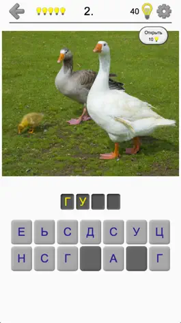 Game screenshot Птицы мира - Викторина о птицах со всего света mod apk