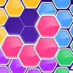 Hexa Block Puzzle Game Mania App Support