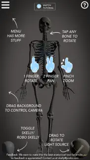 skelly - art model iphone images 2