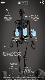 Skelly - Art Model iphone bilder 1