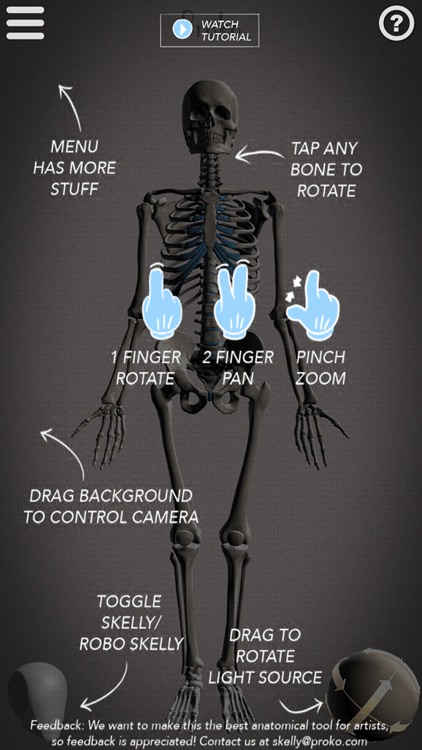 Skelly - Art Model