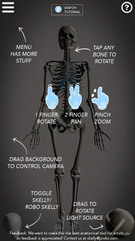 Skelly - Art Model screenshot 2 of 5