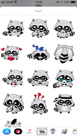 Game screenshot Raccoon Cute Funny Stickers mod apk