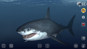Talking Great White : My Pet Shark screenshot