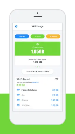 Network Data Usage Tracker screenshot 2