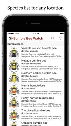 Bumble Bee Watch iPhone image 1