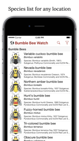 Bumble Bee Watch screenshot
