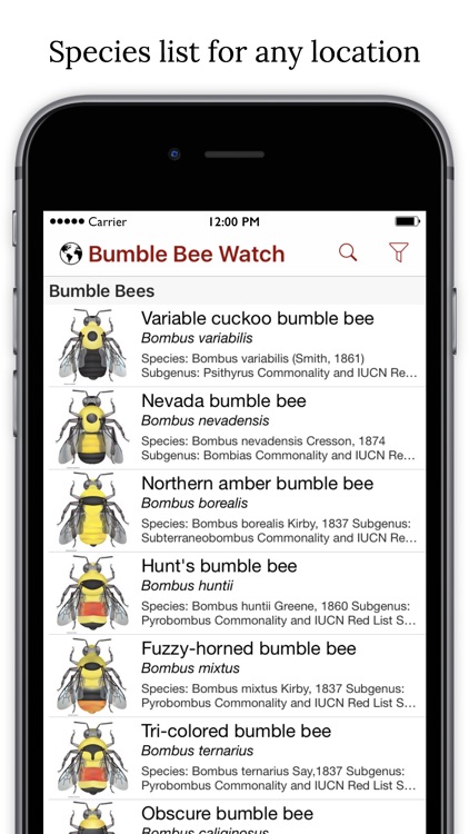 Bumble Bee Watch