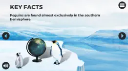knowee : penguins айфон картинки 3