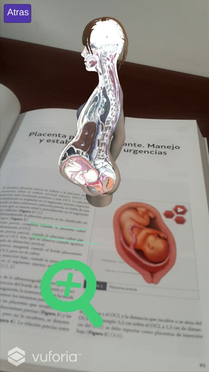 Urgencias en Obstetricia y Medicina Maternofetal