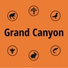 Grand Canyon NP Field Guide