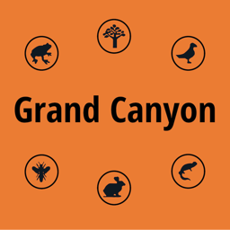 Ícone do app Grand Canyon NP Field Guide