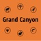 Icon Grand Canyon NP Field Guide