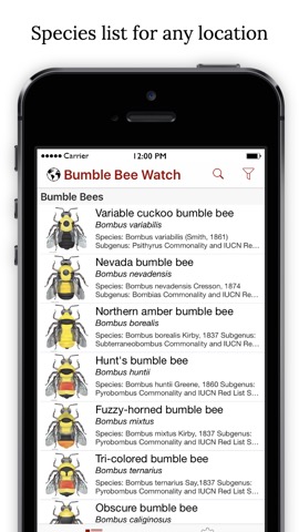 Bumble Bee Watchのおすすめ画像1