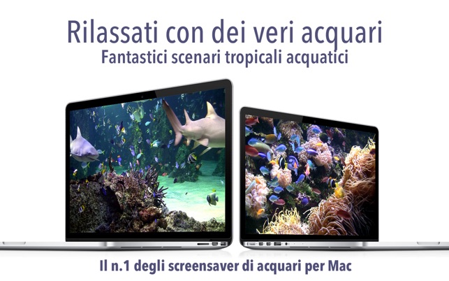 scarica screen saver acquatici