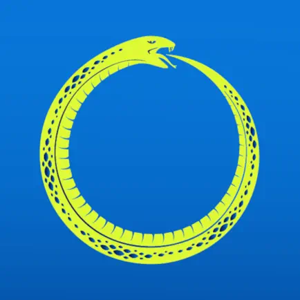 Vibora Padel Club Читы