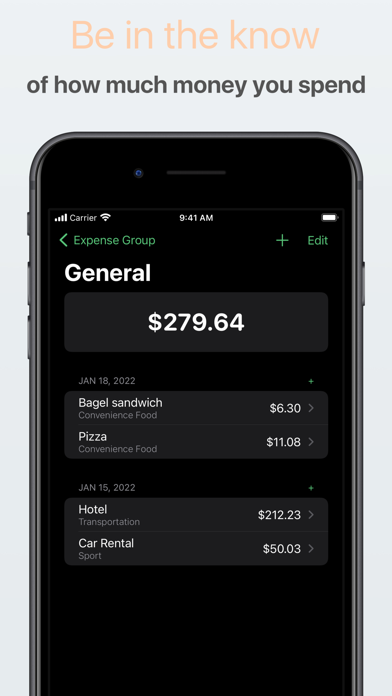 Daybook: Tracks your money Screenshot