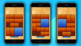 Game screenshot Unblock - logic puzzles apk