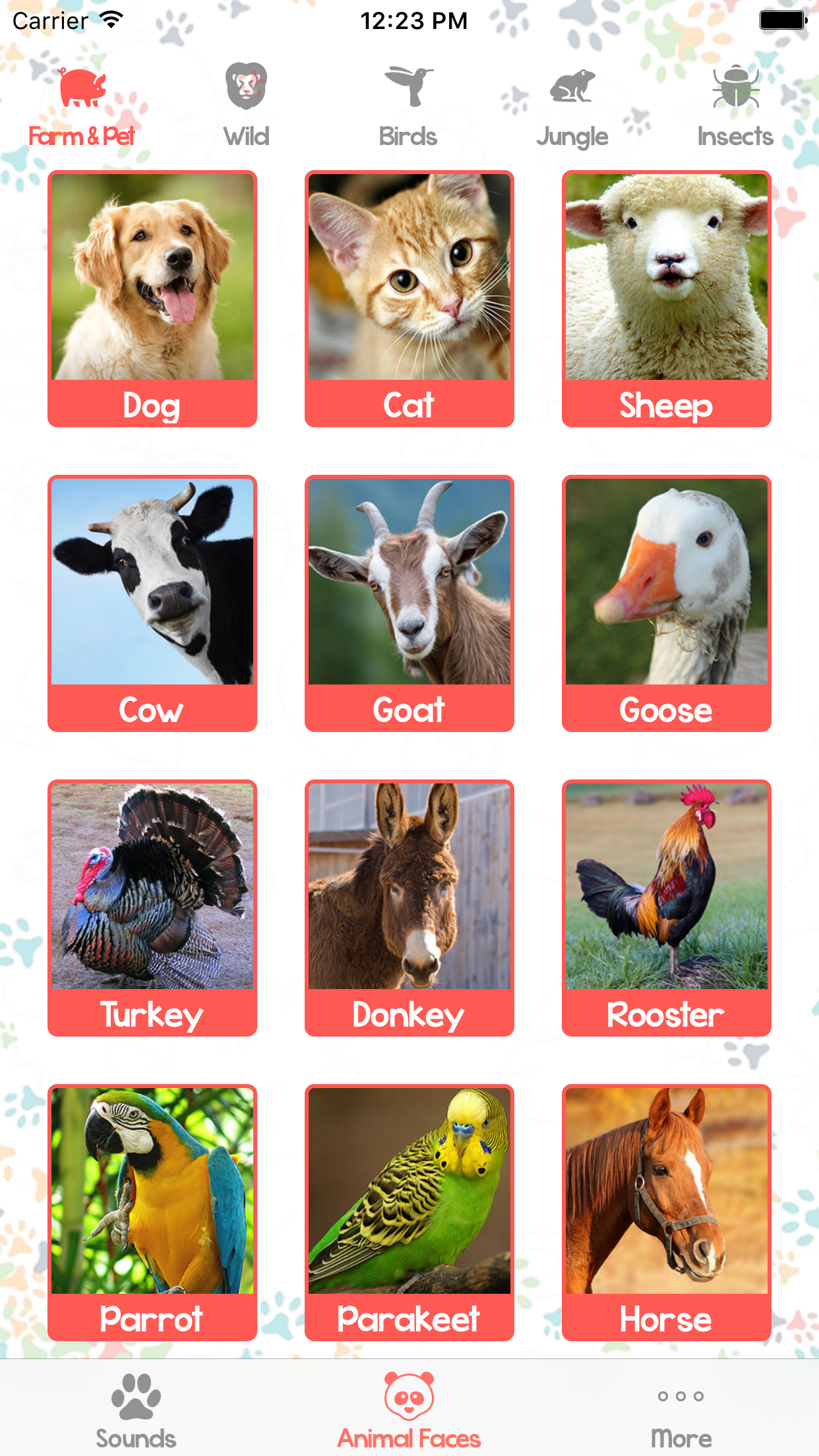 Animal Sounds and Pictures for Baby screenshot 5